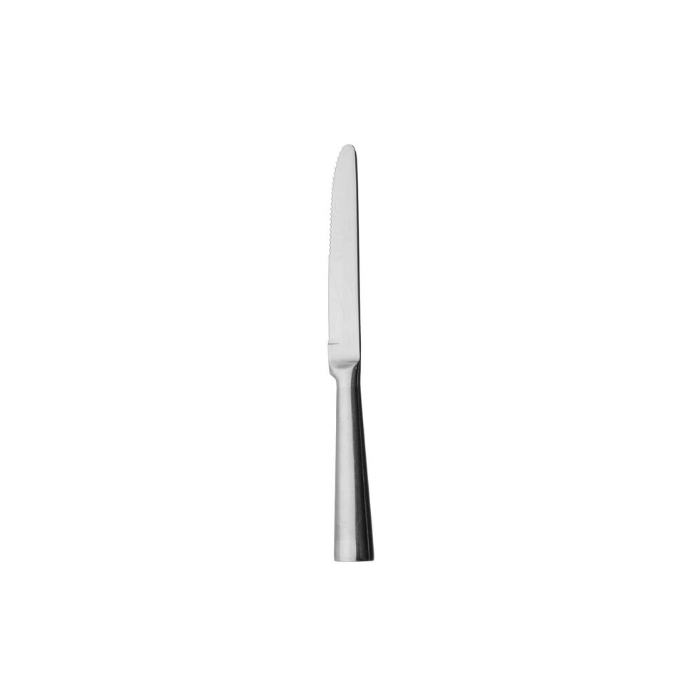 steak-knife-stainless